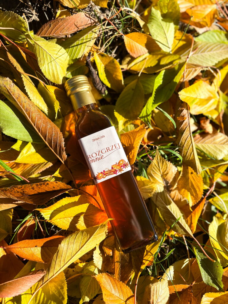 29b451432f8ed108d77a6ef869500502