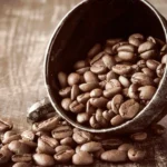 Kawa Ziarnista Herba Vera